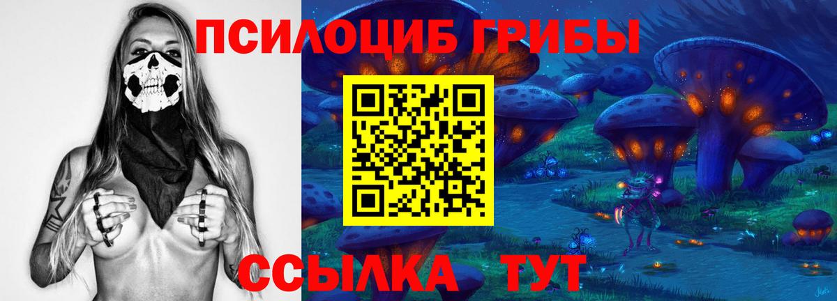 Псилоцибиновые грибы GOLDEN TEACHER Наро-Фоминск
